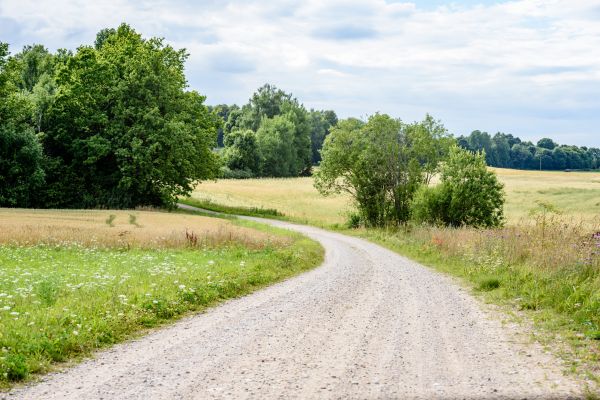 Stone Driveway Repair in Loveland