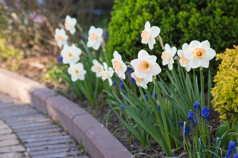 Seasonal Pavers Work